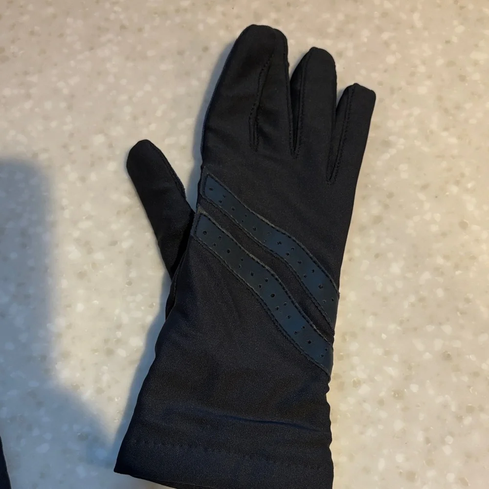 Hanes Dark Gloves with Navy Stripes do not purchase!